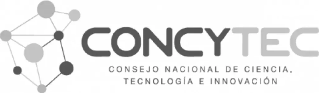 Cliente CONCYTEC